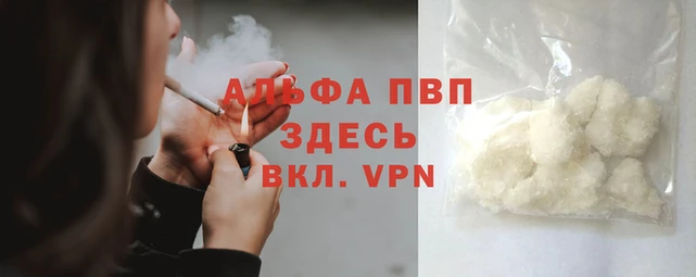 молекула духа Карпинск