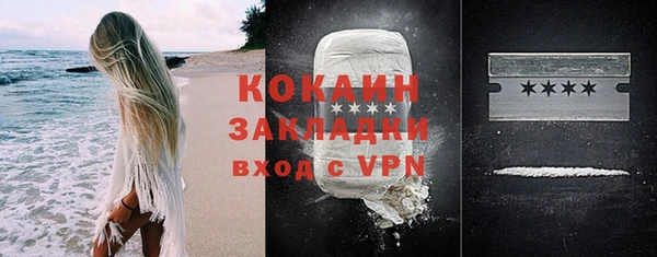 молекула духа Карпинск