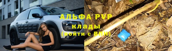 молекула духа Карпинск