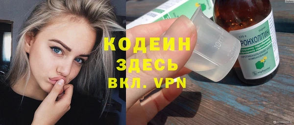 молекула духа Карпинск