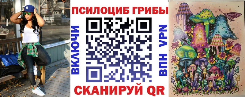 Купить  Оха  Псилоцибиновые грибы прущие грибы 